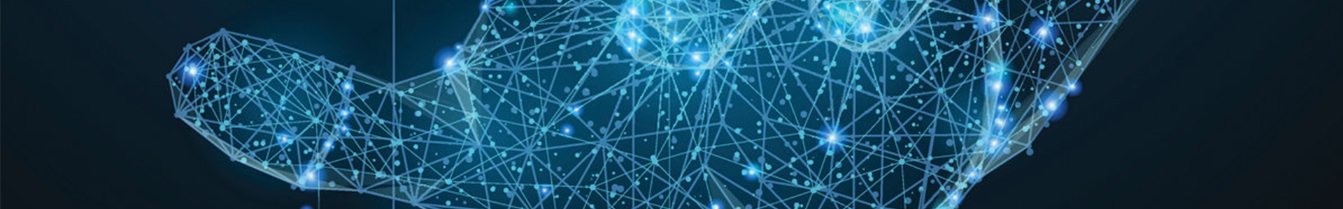 Digital Transformation Enabler